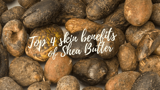 Top 4 Benefits of Shea Butter for Your Skin