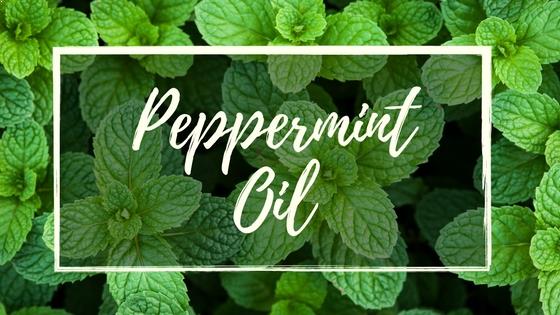 Benefits of Peppermint Essential Oil Nobody Told You